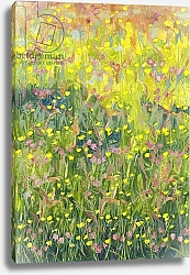 Постер Гловер Ли (совр) Summer Meadow, 2012,