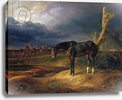 Постер Альбрехт Адам Ownerless Horse on the Battlefield at Moshaisk in 1812, 1834