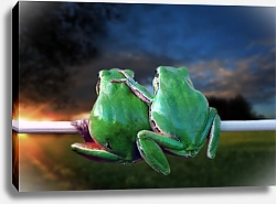 Постер Две зелёные лягушки наблюдающие за закатом