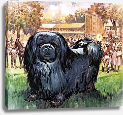 Постер МакКоннел Джеймс Black Knight. The Pekinese dog owned by artist Sir Alfred Munnings.