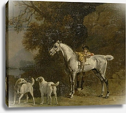 Постер Стаббс Джордж Huntsman with a Grey Hunter and Two Foxhounds: details from the Goodwood 'Hunting' picture, 1760-61