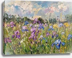 Постер Iris meadow