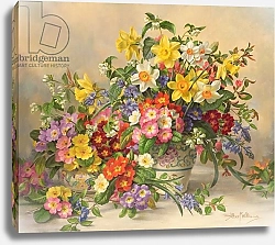 Постер Уильямс Альберт (совр) AB/296 Spring Flowers and Poole Pottery