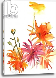 Постер Хатчинс Клаудия Marigolds and Other Flowers, 2004