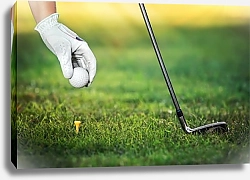 Постер Рука игрока в гольф с мячом