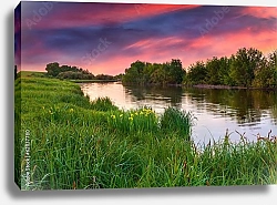 Постер Цветущий луг у реки. Закат
