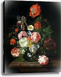 Постер Руйш Рейчел Flower in a glass vase