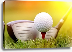 Постер Клюшка и мяч для игры в гольф