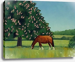 Постер Брэйн Энн (совр) Horse Chestnut, 2001