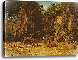 Постер Курбе Гюстав (Gustave Courbet) Herd of Red Deer at Dusk