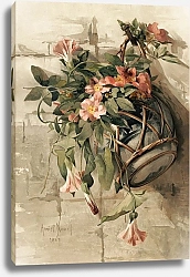 Постер Ноуэлл Энни Pink Flowers in Hanging Vase