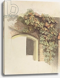 Постер Дженслер Йоханн Grapevines on a Brick House, 1832