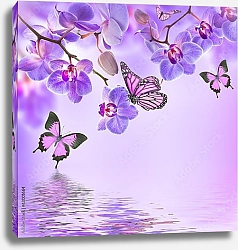Постер Четыре бабочки и цветки орхидеи