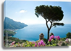 Постер Италия. Вид на Амальфитанское побережье с деревом
