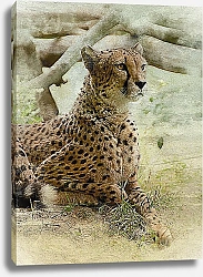 Постер Дикий леопард