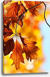 Постер Осенние листья 8