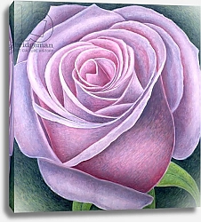 Постер Эдиналл Рут (совр) Big Rose, 2003