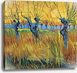 Постер Ван Гог Винсент (Vincent Van Gogh) Pollarded Willows and Setting Sun, 1888