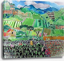 Постер Саймон Хилари (совр) Cabbages and Lilies, Solola Region, Guatemala, 1993