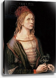 Постер Дюрер Альбрехт Self Portrait with a Thistle, 1493