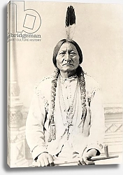 Постер Американский фотограф Sitting Bull