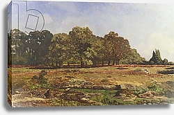Постер Сислей Альфред (Alfred Sisley) Avenue of Chestnut Trees at La Celle-Saint-Cloud, c.1866-67