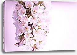 Постер Лиловая веточка весенних цветов