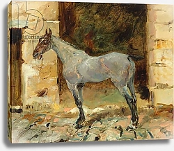 Постер Тулуз-Лотрек Анри (Henri Toulouse-Lautrec) Tethered Horse; Cheval attache, c.1881