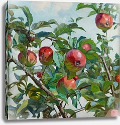 Постер Сабатовский Амвросий Apples