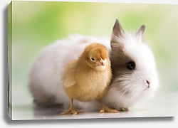 Постер Кролик и цыпленок