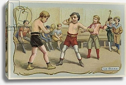 Постер Школа: Французская Boxing 1
