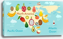 Постер Детская фруктовая карта Северной Америки