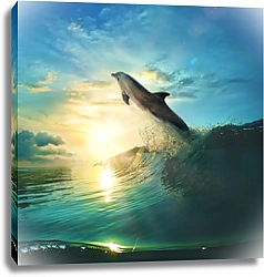 Постер Дельфин и рассвет в океане