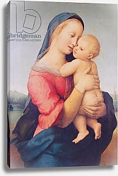 Постер Рафаэль (Raphael Santi) The 'Tempi' Madonna, 1508