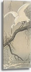 Постер Косон Охара White heron on tree branch