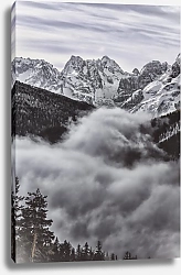 Постер Туман на сосновым лесом в горах