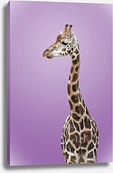 Постер Жираф на фиолетовом фоне