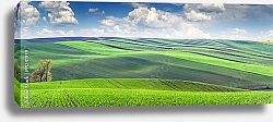 Постер Чехия. Панорама зеленых полей