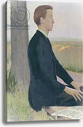 Постер Дени Морис Portrait of Raphael Lemeunier, 1889