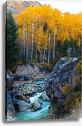 Постер Золотой осенний лес над горной речкой, Аспен, США