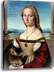 Постер Рафаэль (Raphael Santi) Portrait of a Lady with a Unicorn, c.1505-6