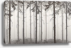 Постер Серый туманный сосновый лес