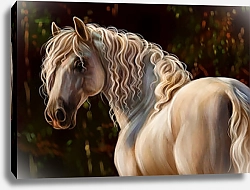 Постер Белая лошадь с кудрявой гривой