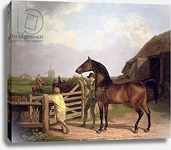 Постер Агассе Жак 'Bay Ascham', a stallion led through a gate to a mare, 1804