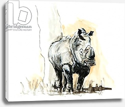 Постер Сандерс Франческа (совр) Rhino against tree, 2013, mixed media