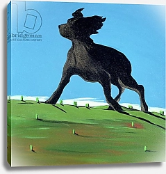 Постер Уэйс Марджори (совр) Amazing Black Dog, 2000