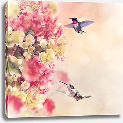 Постер Две птички колибри у куста цветов