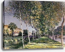 Постер Сислей Альфред (Alfred Sisley) The Walk, 1890