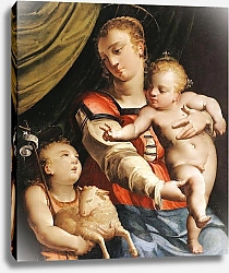 Постер Камбьязо Лука Дева с младенцем и Иоанн Креститель
