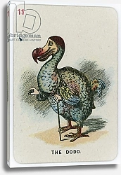 Постер Тениель Джон The Dodo